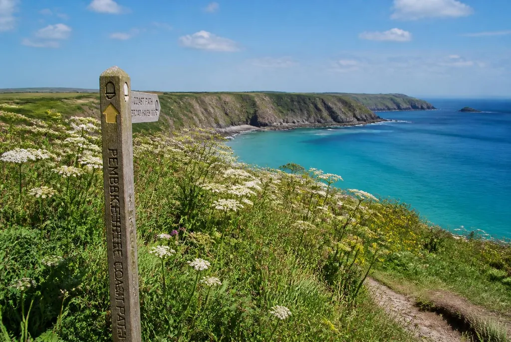 Walkers on the Pembrokeshire Coast Path above St Brides Bay near Little Haven